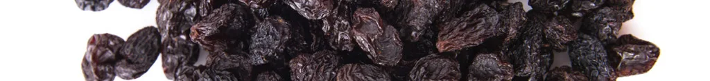 sultanas como alimento proibido para gatos