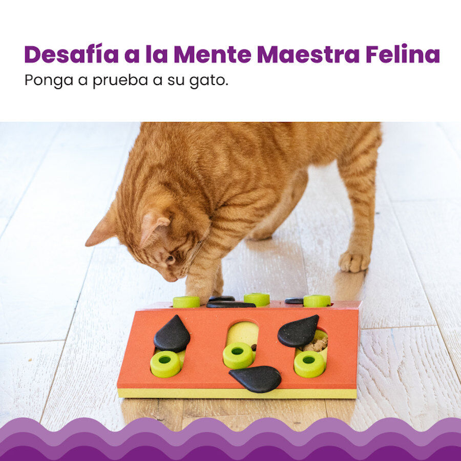 Outward Hound Catstages Nina Ottosson Puzzle & Play Melon Madness Brinquedo de Inteligência para gatos, , large image number null