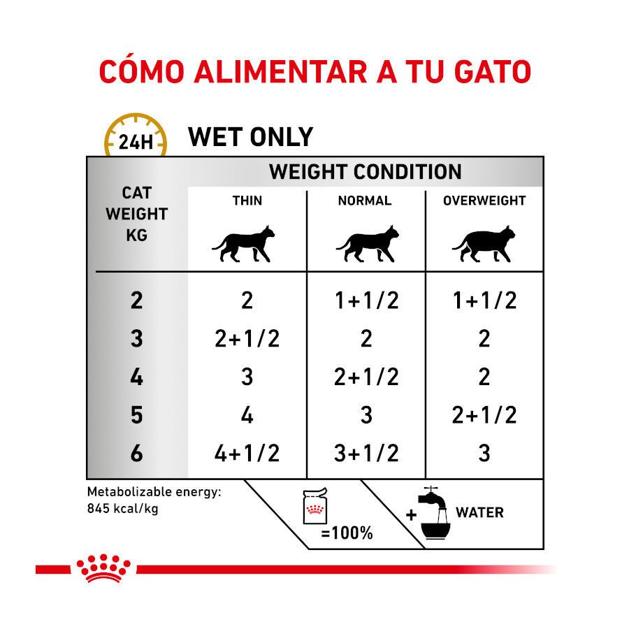 Royal Canin Adult Veterinary Urinary paté sobre para gatos, , large image number null