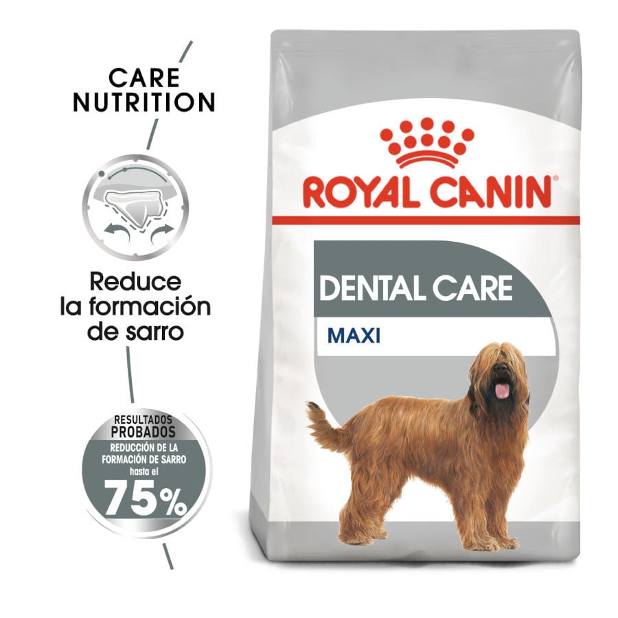 Royal Canin Maxi Dental Care ração para cães, , large image number null