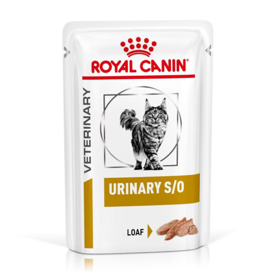 Royal Canin Adult Veterinary Urinary paté sobre para gatos, , large image number null