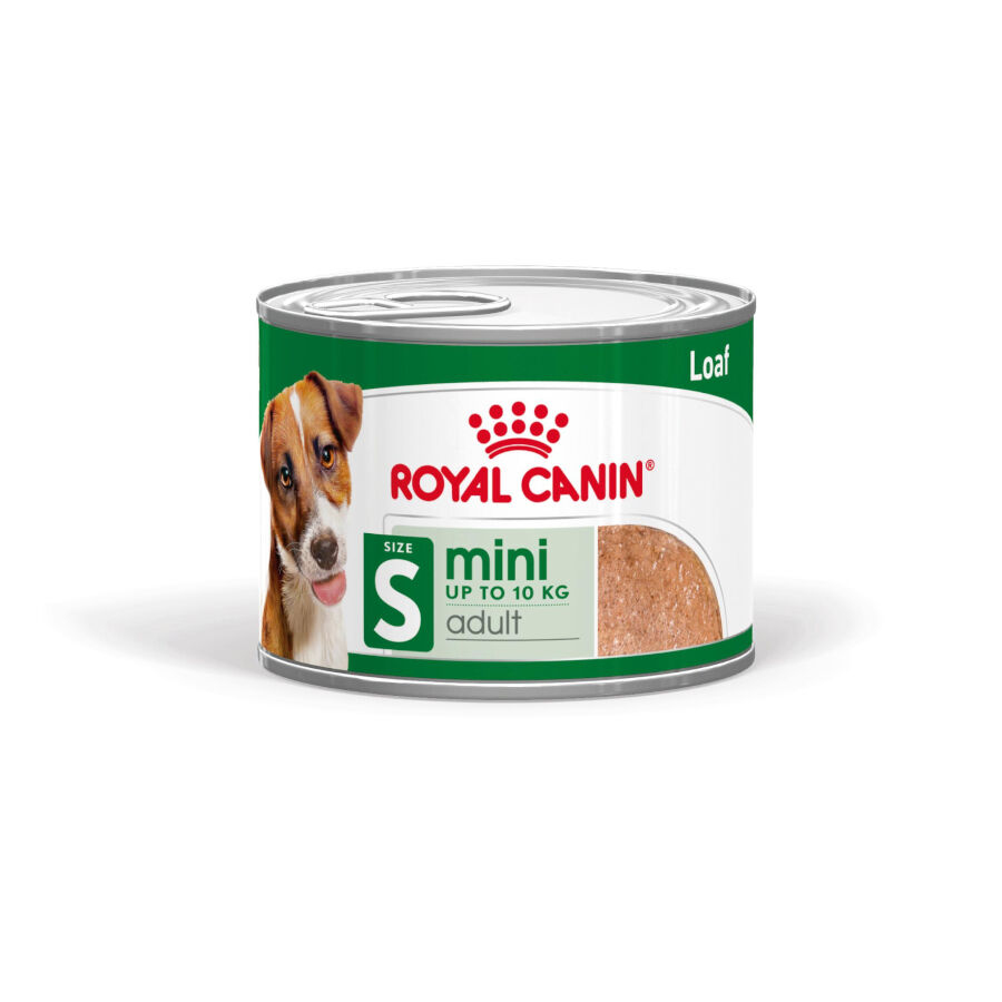 Royal Canin Mini Adult Patâ em lata para cães