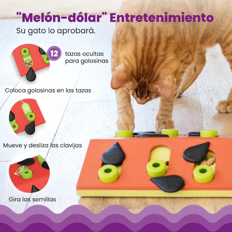 Outward Hound Catstages Nina Ottosson Puzzle & Play Melon Madness Brinquedo de Inteligência para gatos, , large image number null