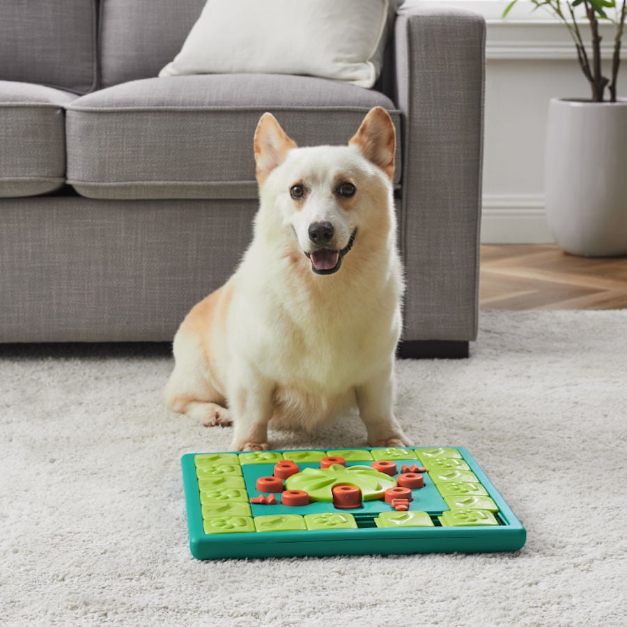 Outward Hound Nina Ottosson Multi Puzzle de Inteligência para cães, , large image number null