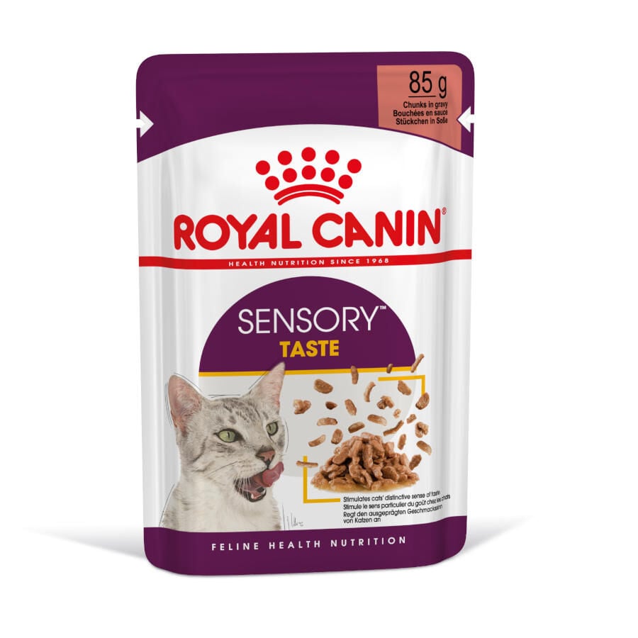 Royal Canin Adult Sensory Taste molho saqueta para gatos, , large image number null