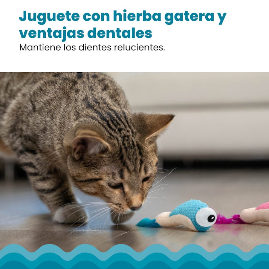 Outward Hound Catstages Dental Shrimpies Peluches com Penas para gatos, , large image number null