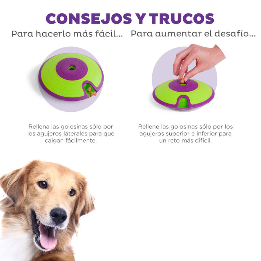 Outward Hound Nina Ottosson Treat Maze Disco interativo para cães, , large image number null