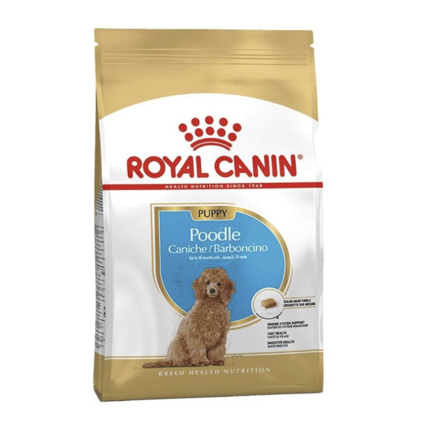 Royal Canin Poodle Puppy ração para cães, , large image number null