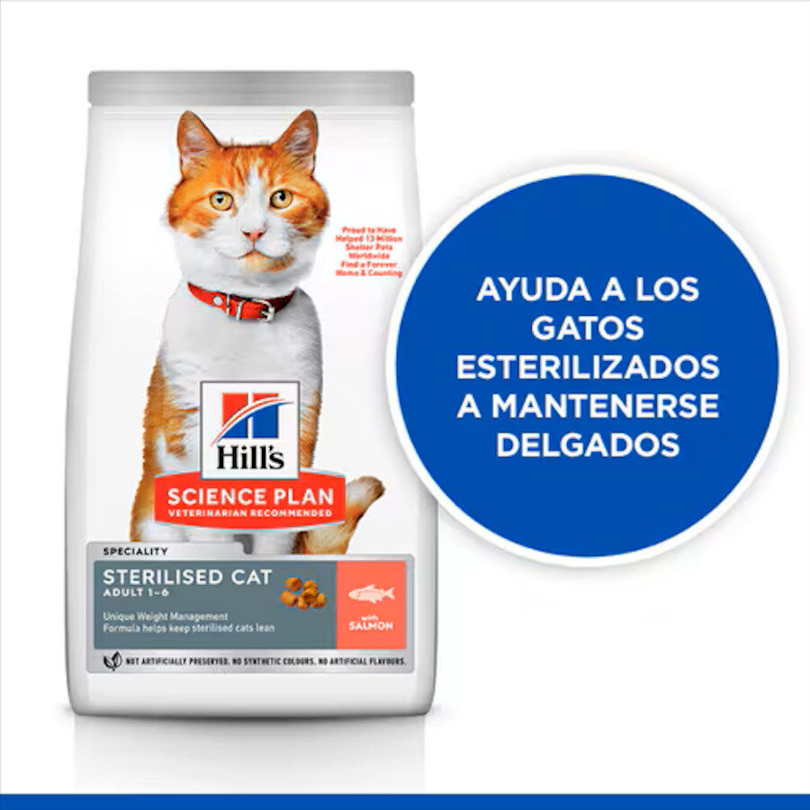 Ração Hill's Science Plan Sterilised Adult Salmon para gatos, , large image number null