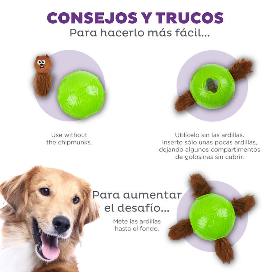 Outward Hound Nina Ottosson Snuffle n’ Treat Bola Interativa Porta-Snacks para cães , , large image number null