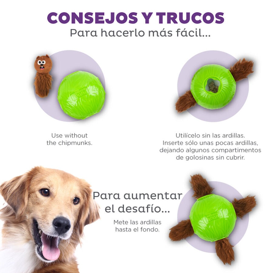 Outward Hound Nina Ottosson Snuffle n’ Treat Bola Interativa Porta-Snacks para cães , , large image number null