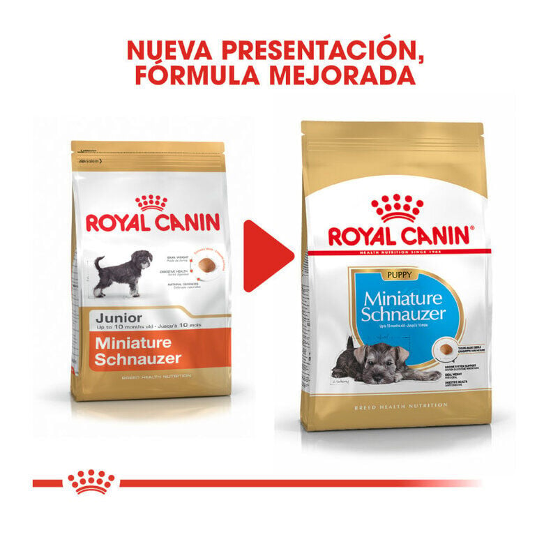 Royal Canin Puppy Miniature Schnauzer ração para cães , , large image number null