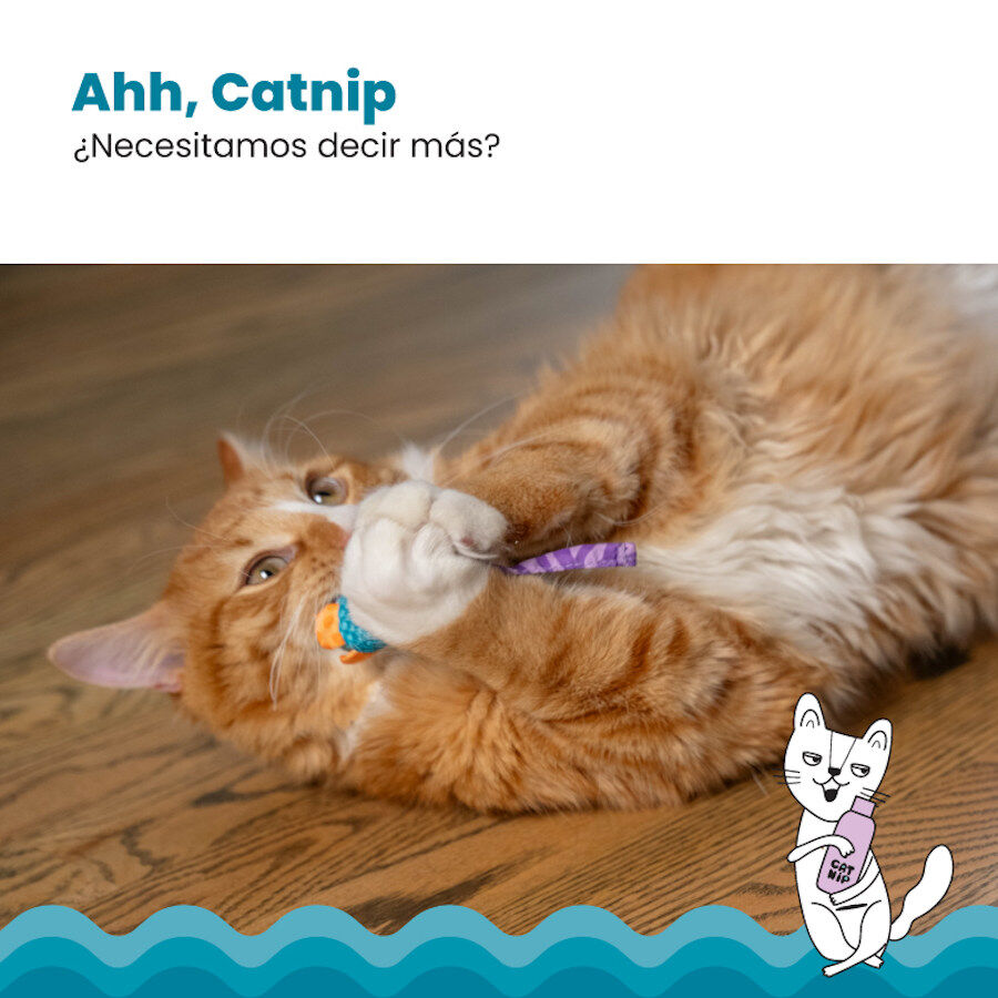 Outward Hound Catstages Chew Rato com Catnip para gatos, , large image number null