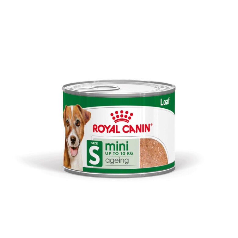 Royal Canin Mini 8+ Ageing lata para cães, , large image number null