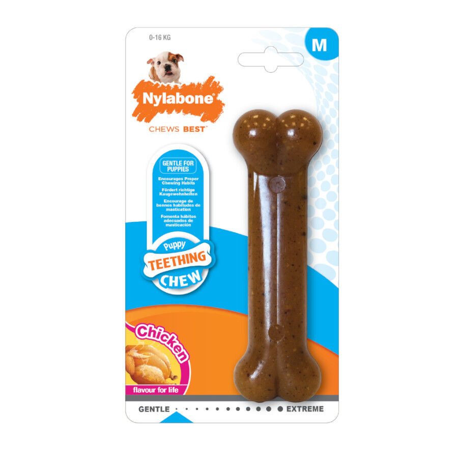 Nylabone Chew Frango Osso Mordedor para cachorros, , large image number null