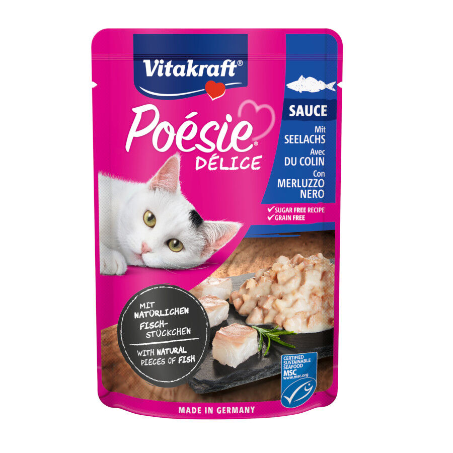 Vitakraft Poésie Salmão saquetas em molho para gatos
