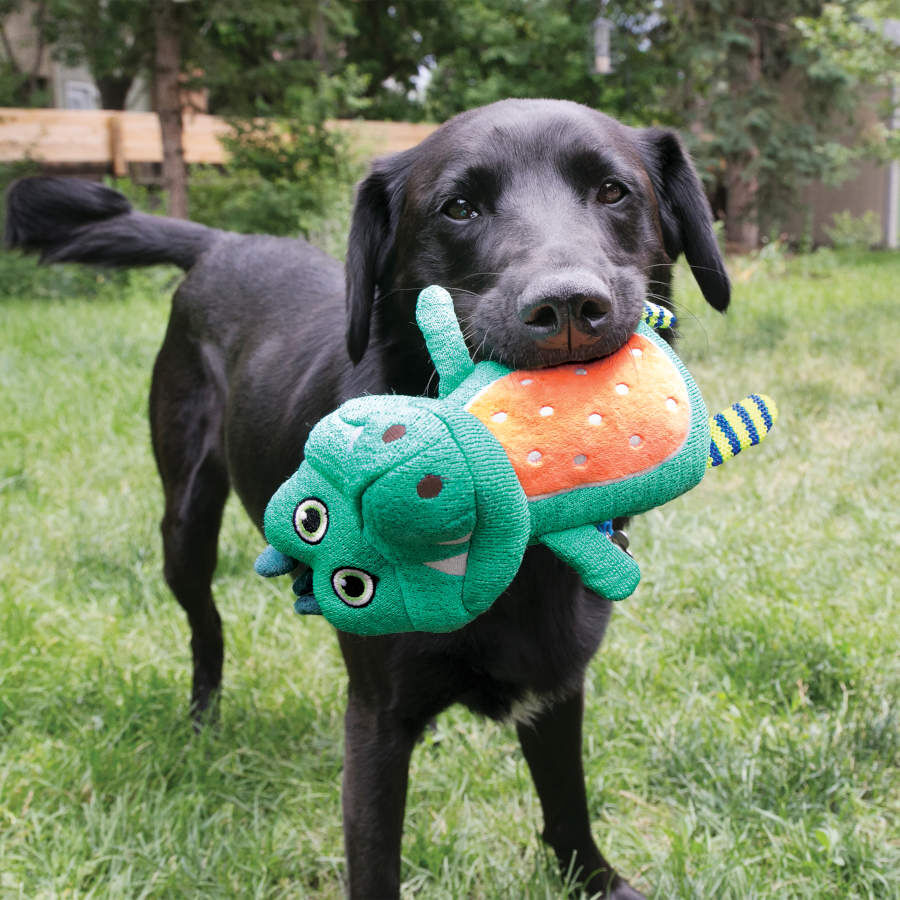 Kong Whoopz Crocodilo peluche para cães, , large image number null