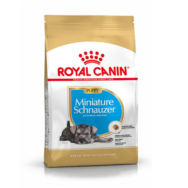 Royal Canin Puppy Miniature Schnauzer ração para cães , , large image number null