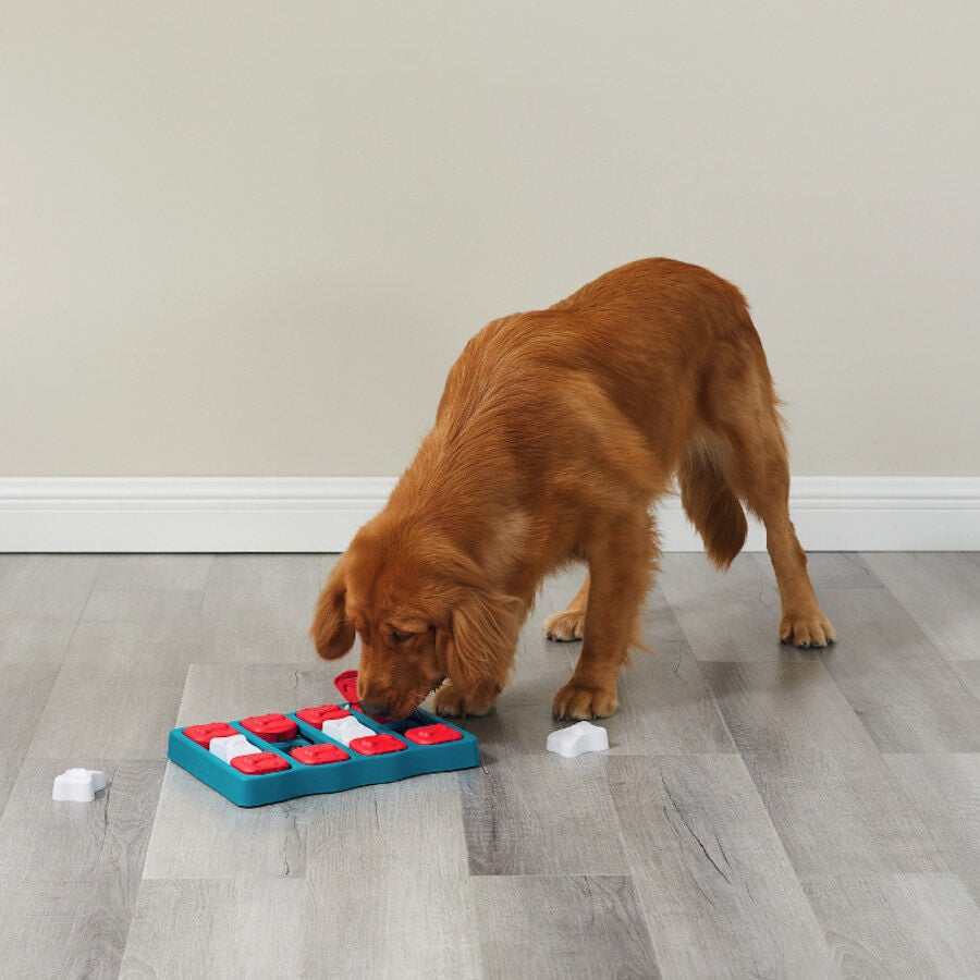 Outward Hound Nina Ottosson Brick Puzzle para cães, , large image number null