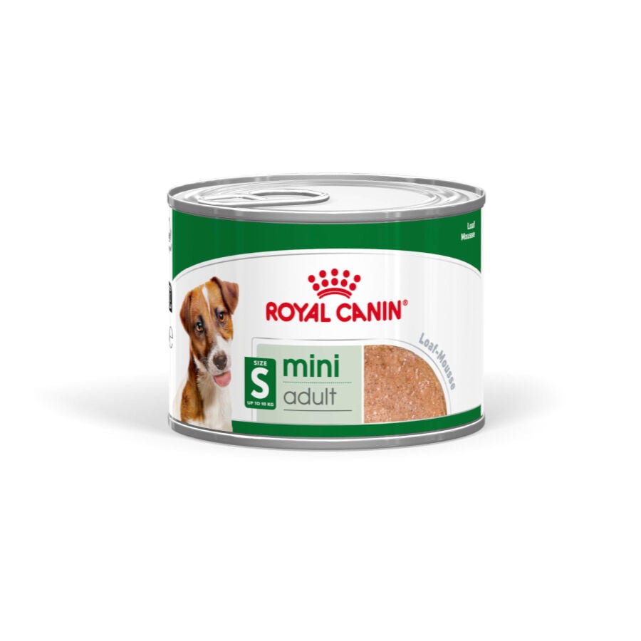 Royal Canin Mini Adult Patâ em lata para cães, , large image number null