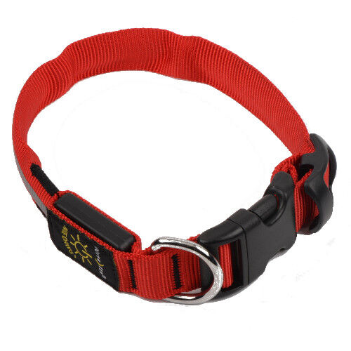 Nite Ize NiteDawg collar led rojo para perros image number null