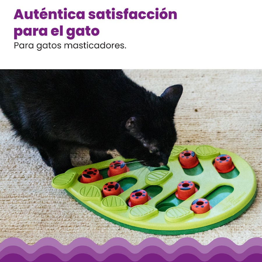 Outward Hound Catstages Puzzle & Play Buggin’ Out Brinquedo de Inteligência para gatos, , large image number null