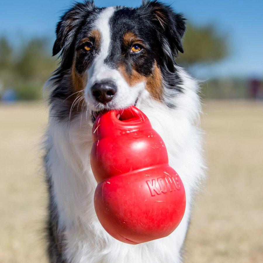 Kong Bounzer Brinquedo vermelho para cães, , large image number null