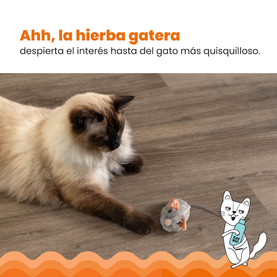 Outward Hound Catstages Squeaky Squeaky Gris Rato com Catnip para gatos, , large image number null