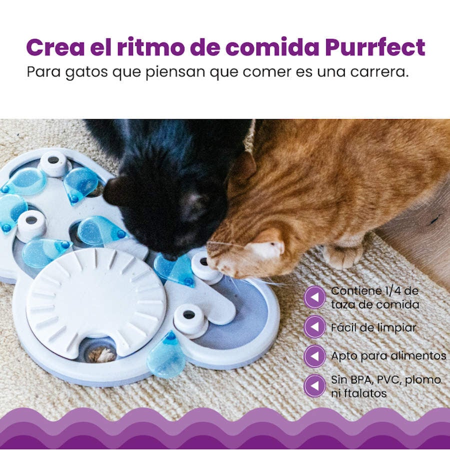 Outward Hound Catstages Puzzle & Play Rainy Day Brinquedo de Inteligência para gatos , , large image number null