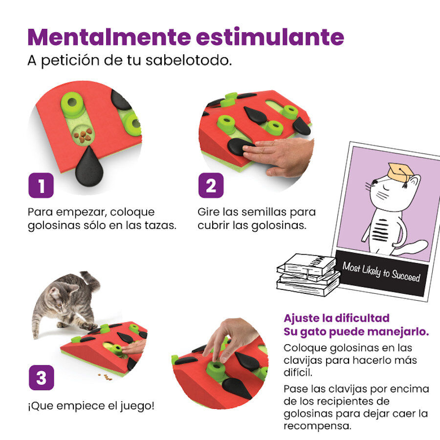 Outward Hound Catstages Nina Ottosson Puzzle & Play Melon Madness Brinquedo de Inteligência para gatos, , large image number null