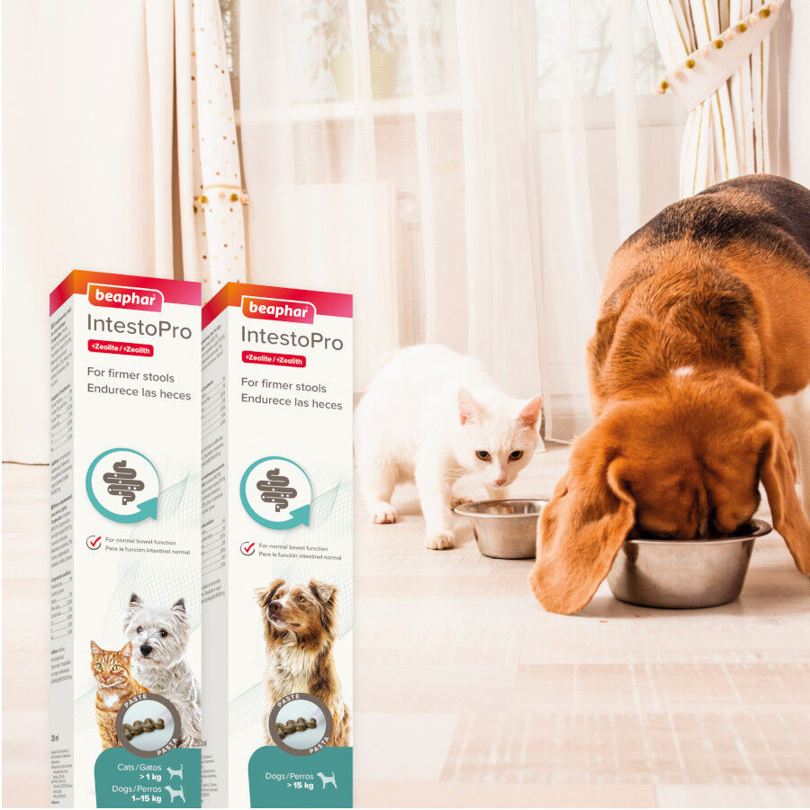 Beaphar IntestoPro Regulador Intestinal em Pasta para cachorros e gatos, , large image number null