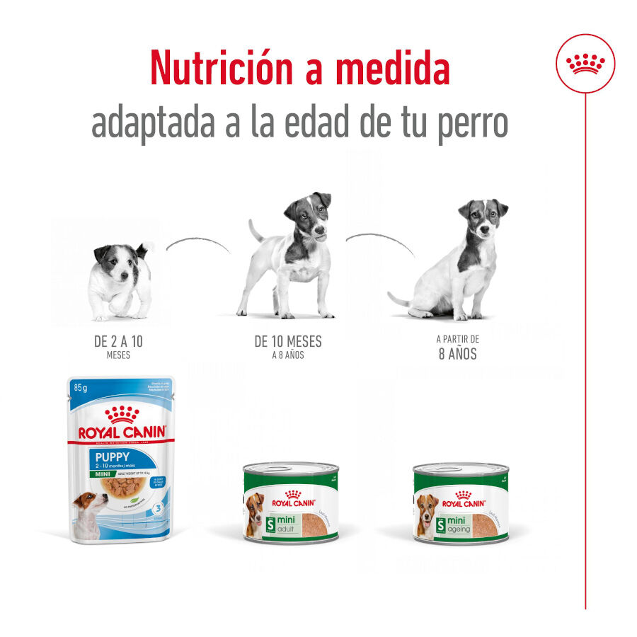 Royal Canin Mini Adult Patâ em lata para cães, , large image number null