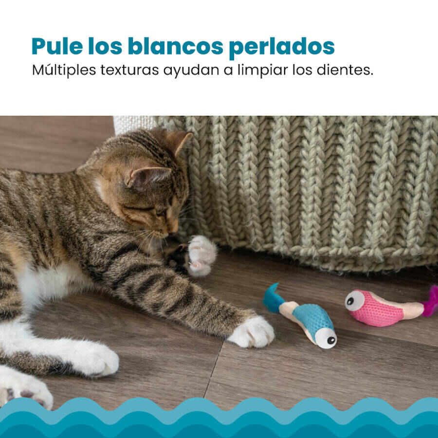 Outward Hound Catstages Dental Shrimpies Peluches com Penas para gatos, , large image number null