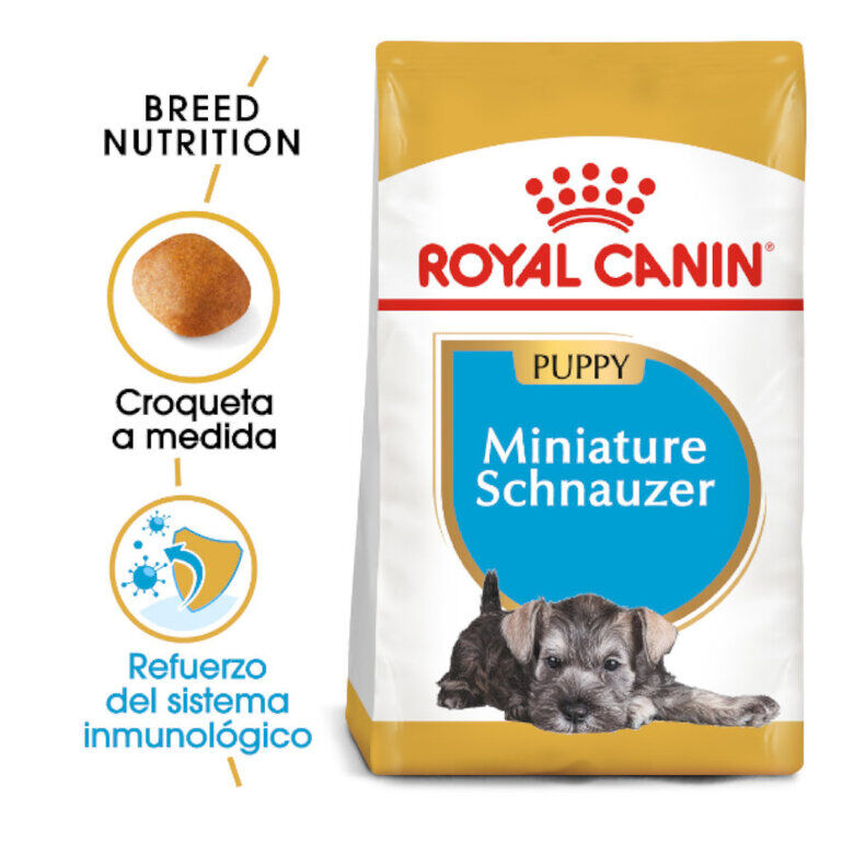 Royal Canin Puppy Miniature Schnauzer ração para cães , , large image number null