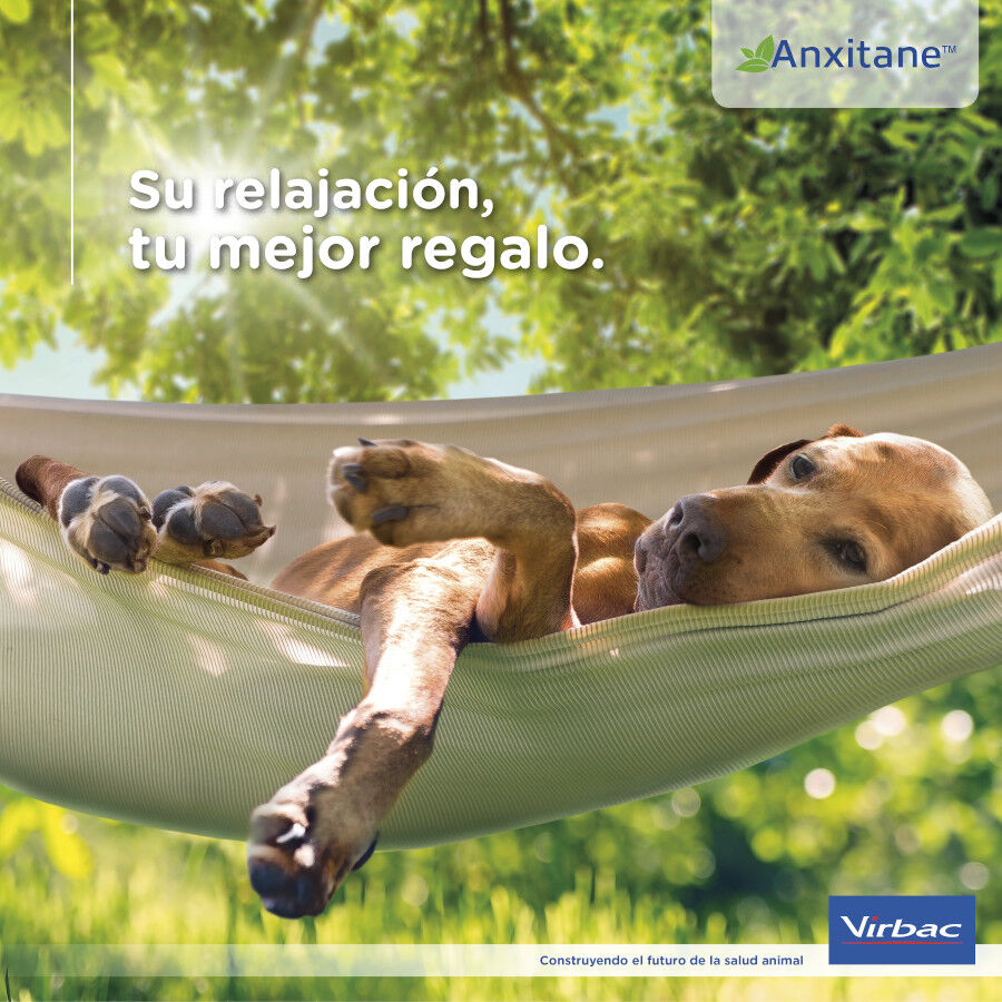 Virbac Anxitane Relaxantes em Comprimidos para animais de estimação, , large image number null