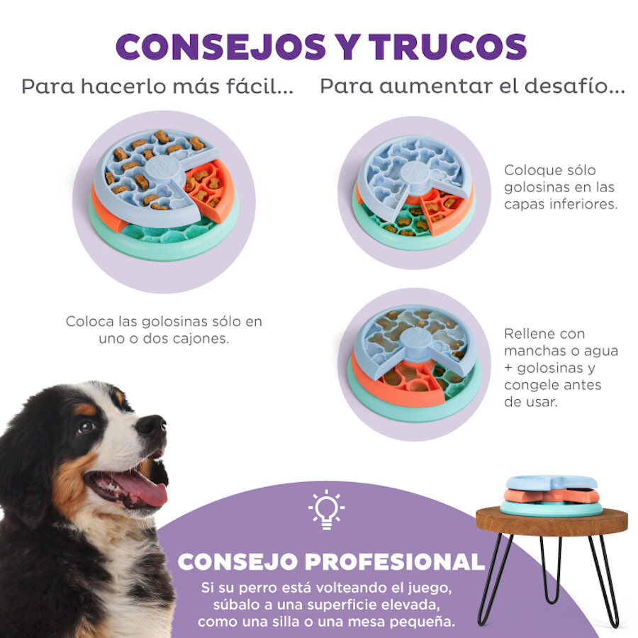 Outward Hound Nina Ottosson Puppy Lickin' Layers Brinquedo interativo com Snacks para cachorros , , large image number null