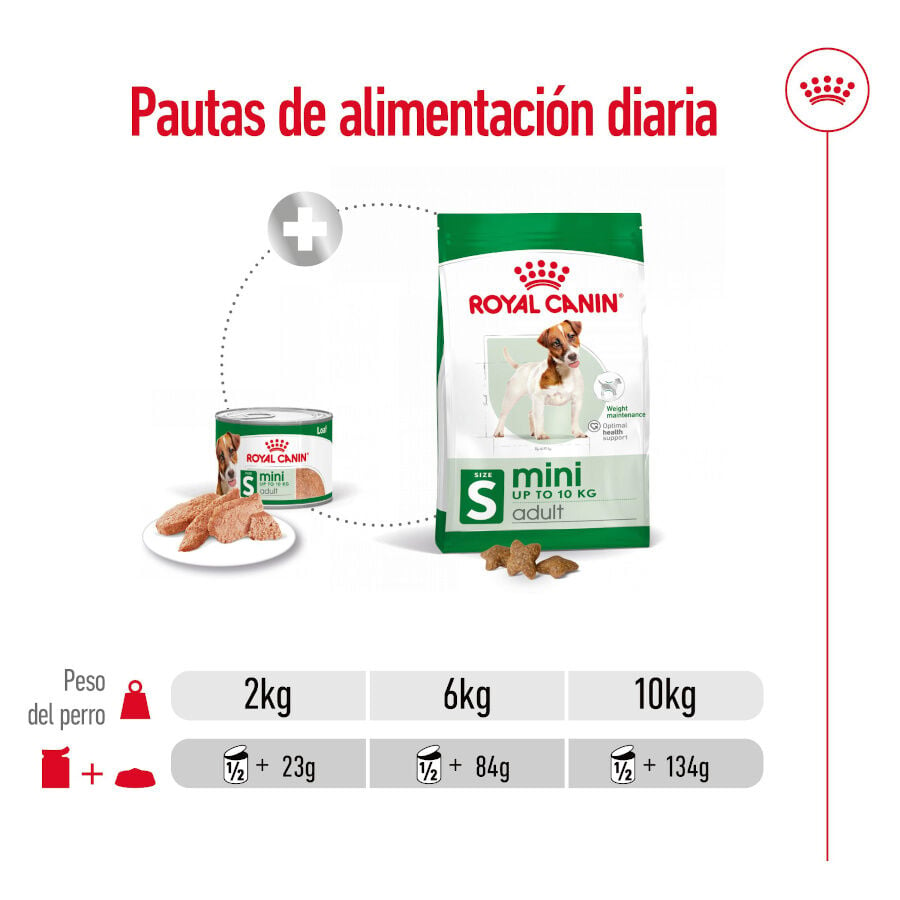 Royal Canin Mini Adult Patâ em lata para cães, , large image number null