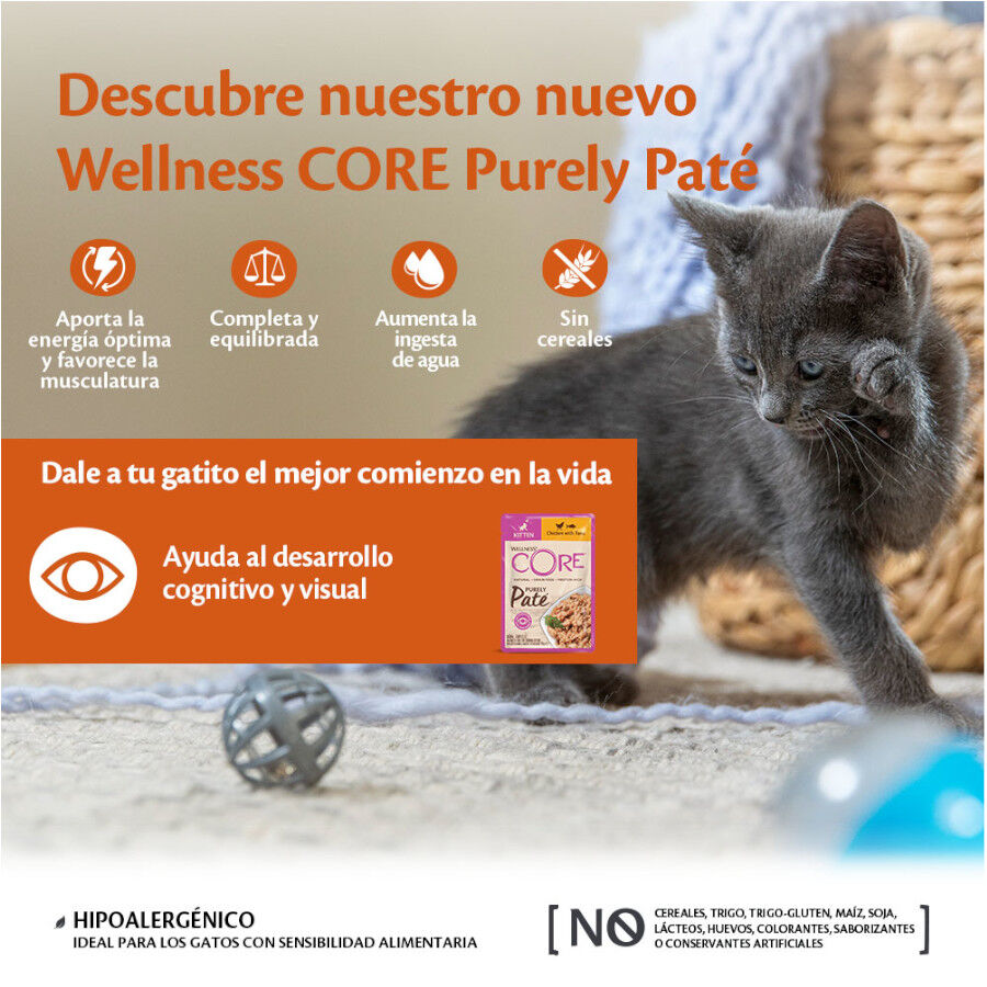 Wellness Core Kitten Frango em Patê para gatinhos, , large image number null