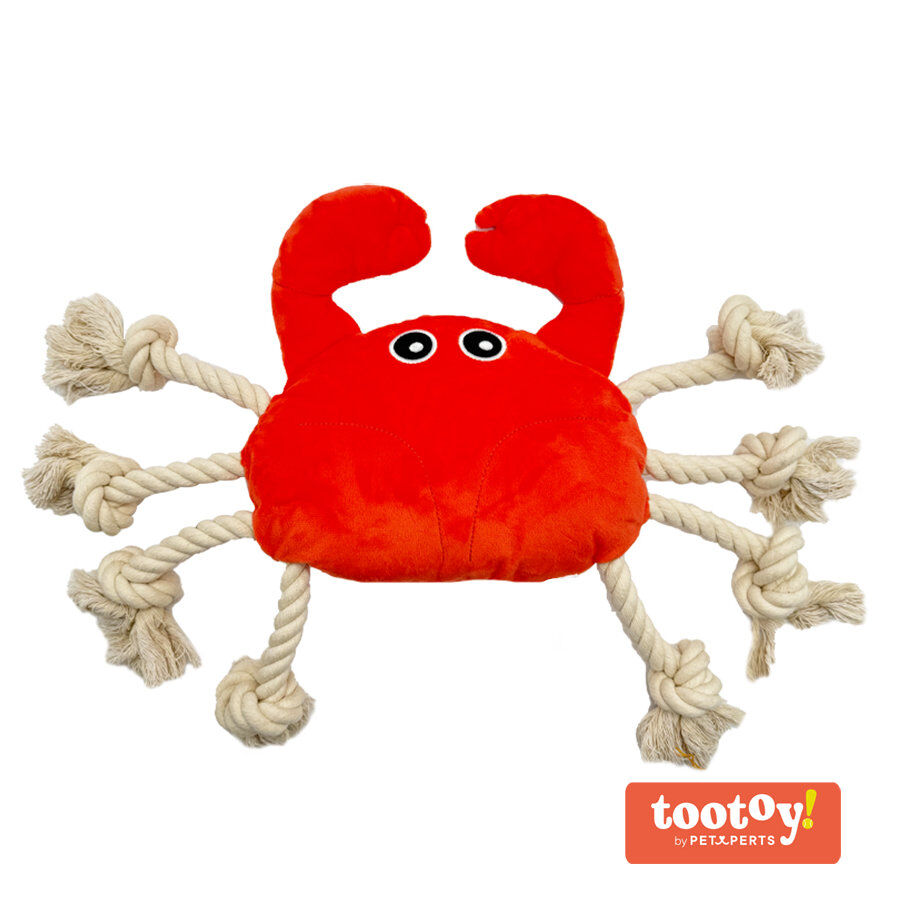 Tootoy! Comfort Fresh Crab peluche com corda para cães