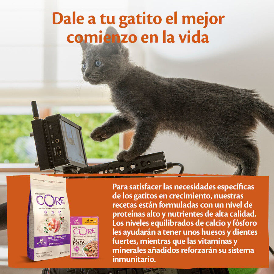 Wellness Core Kitten Frango em Patê para gatinhos, , large image number null