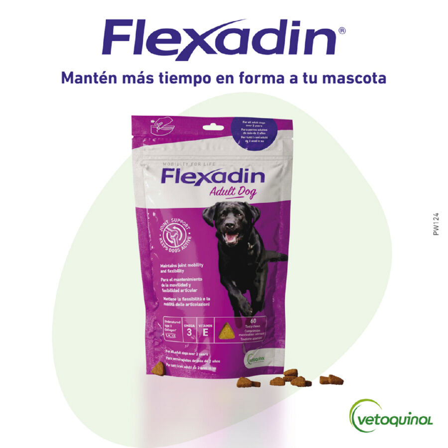 Vetoquinol Flexadin Adult Condroprotetor para cães