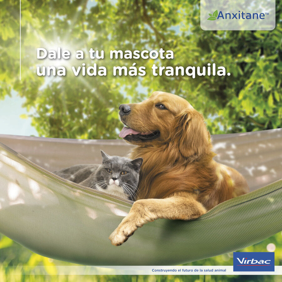 Virbac Anxitane Relaxantes em Comprimidos para animais de estimação, , large image number null