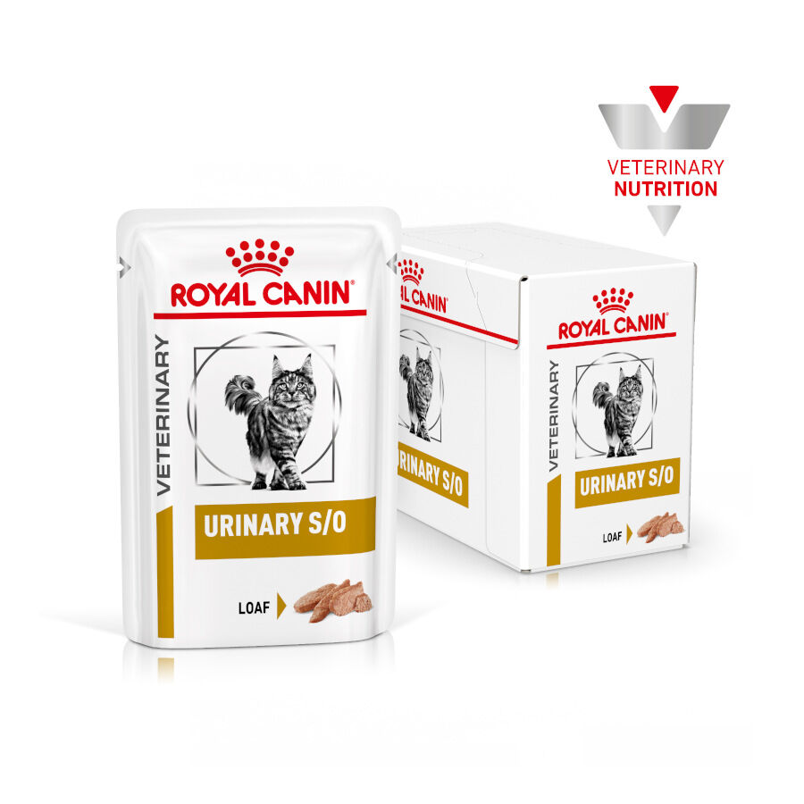 Royal Canin Adult Veterinary Urinary paté sobre para gatos, , large image number null