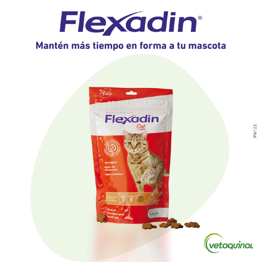 Vetoquinol Flexadin Adult Condroprotetor para gatos