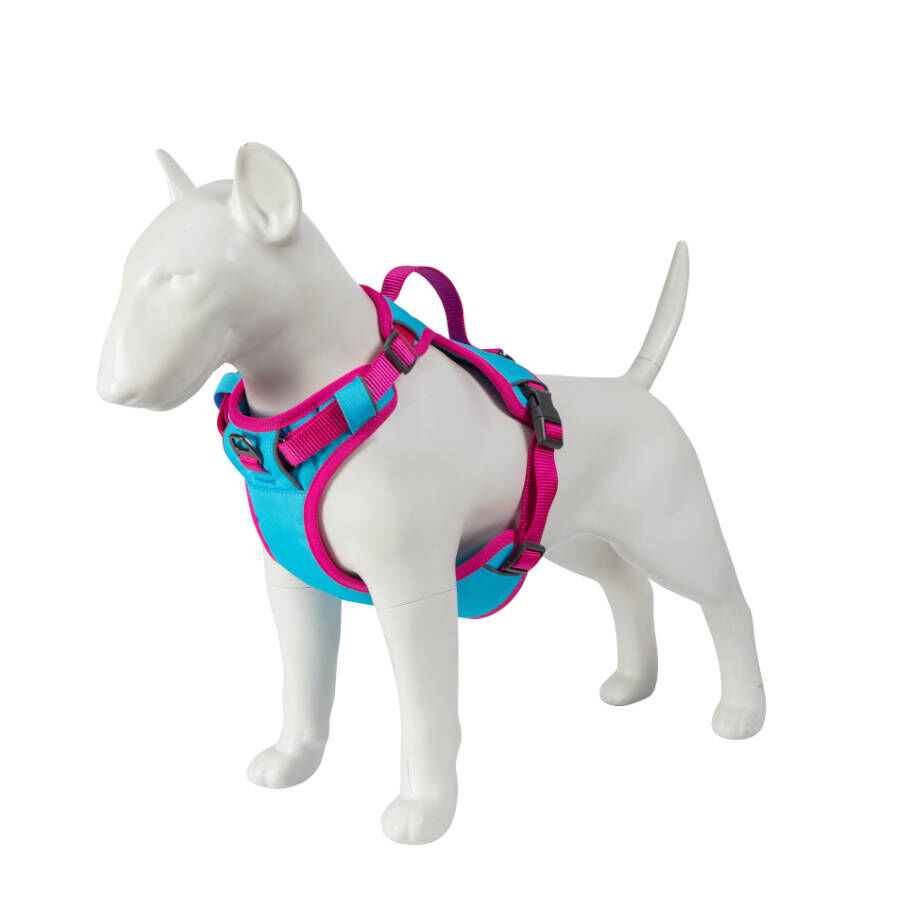 Freedog Cool Pro Tech Peitoral Desportivo Fúscia para cães, , large image number null