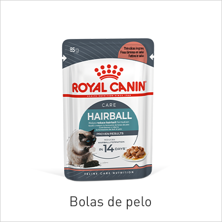 Bolas de pelo