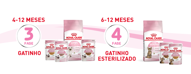 Gatinho: 4 - 12 meses e Gatinho esterilizado: 6 - 12 meses