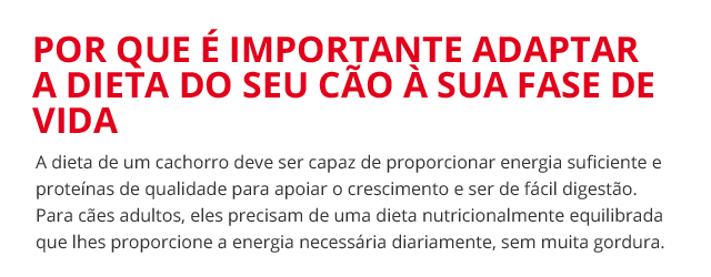 Porque é que é importante adaptar a alimentação do seu cão a cada etapa de vida