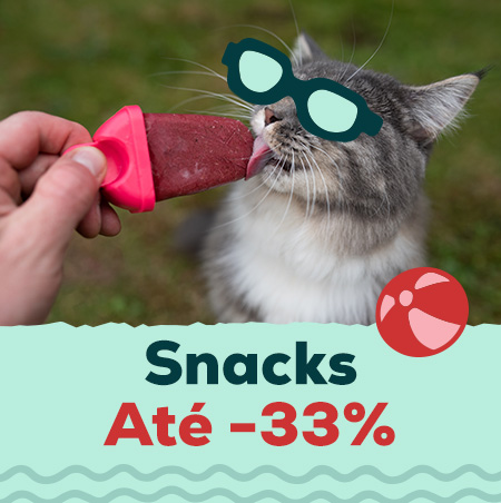 Snacks até -33%