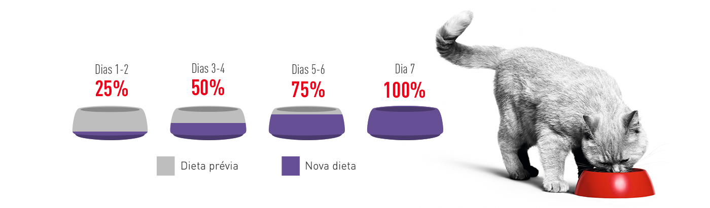 Como fazer a transição para novos alimentos